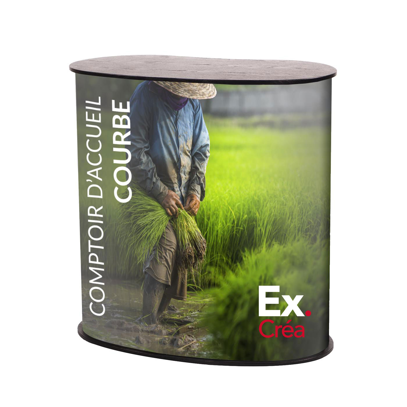 COMPTOIR ACCUEIL COURBE PRINC